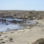 cambria_316 (November 03, 2018)